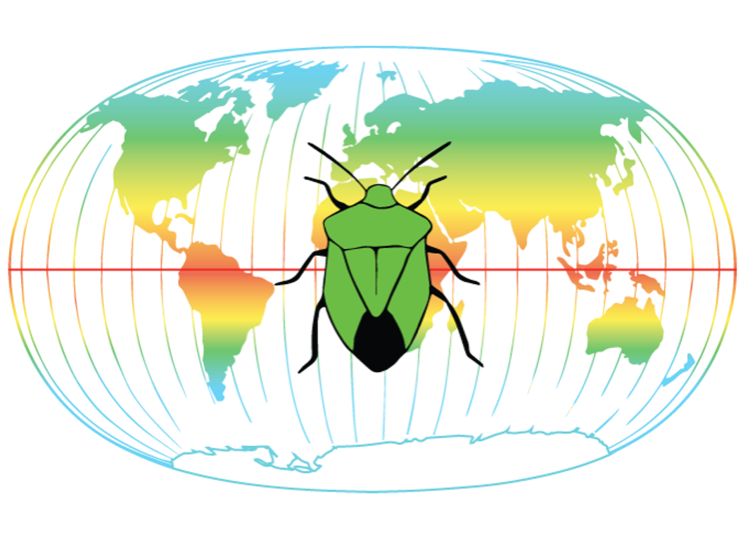Shield bug on a world map colored as a latitudinal climate gradient